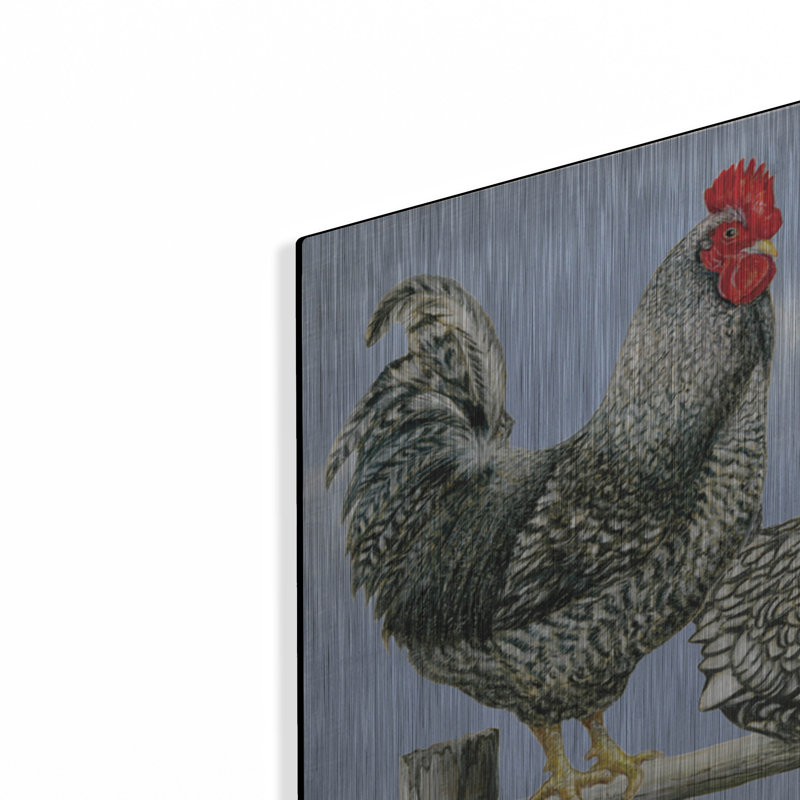 «Black White Hens 2» par Janet Pidoux, H 12 po x l 36 po