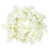 White is out of stock