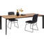 Table Phoenix 100x220cm