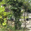 Treillis de jardin en métal