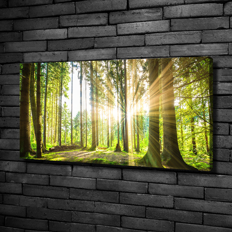 Forest In The Sun - No Frame Print on Glass, Canvas, 50cm H x 100cm W x 2cm D