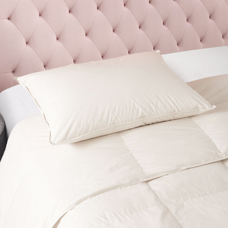 Jumbo Organic Cotton Prime Feather Pillow