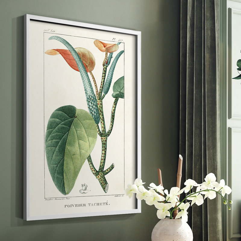 «Turpin Tropical Botanicals II», reproduction encadrée - bois massif, H 10 po x l 8 po, Blanc