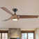 Farmhouse 56"  3 - Blade Modern LED Propeller Ceiling Fan with Remote Control and Light Kit Included