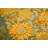 Daronta Round Tablecloth-86865863-86865862