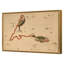 Pisces Print by Grand Archives-735700160-735700161