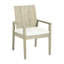 Ashland Patio Dining Armchair with Cushions-765605461-750875497-749763211