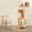 Debralyn 2- Tier 360° Rotating Bookshelf Bookcase Storage Shelf