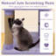 Mignon arbre à chat 31,5 po-987775135