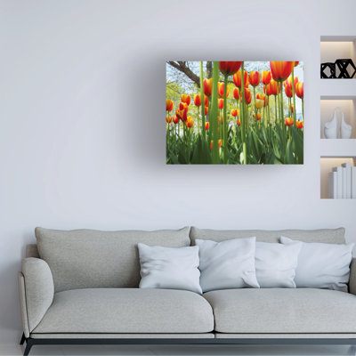 Art sur toile Suzanne Bonin