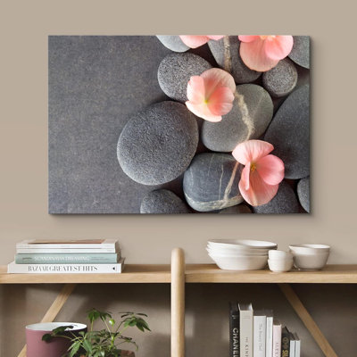 " Gray Stones with Pink Daisy Flowers " Color Photography Print
