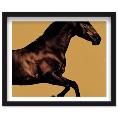 Hue Equine II Framed Graphic Art