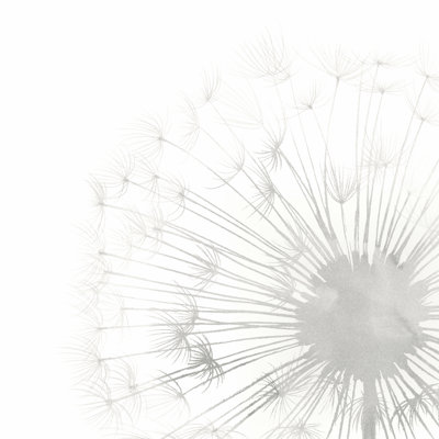 Dandelion Whisper II