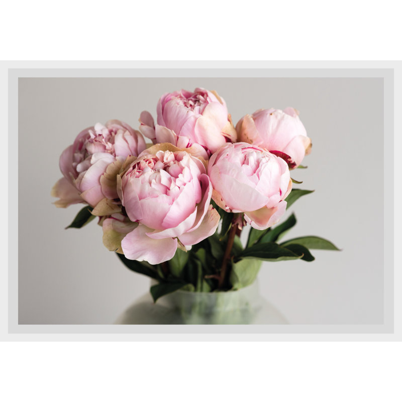 Rose - Single Picture Frame Print