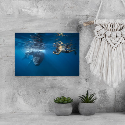 Humpback Whale And Snorkeler Abstract Contemporary Whale Nature Ocean Wall Art Print