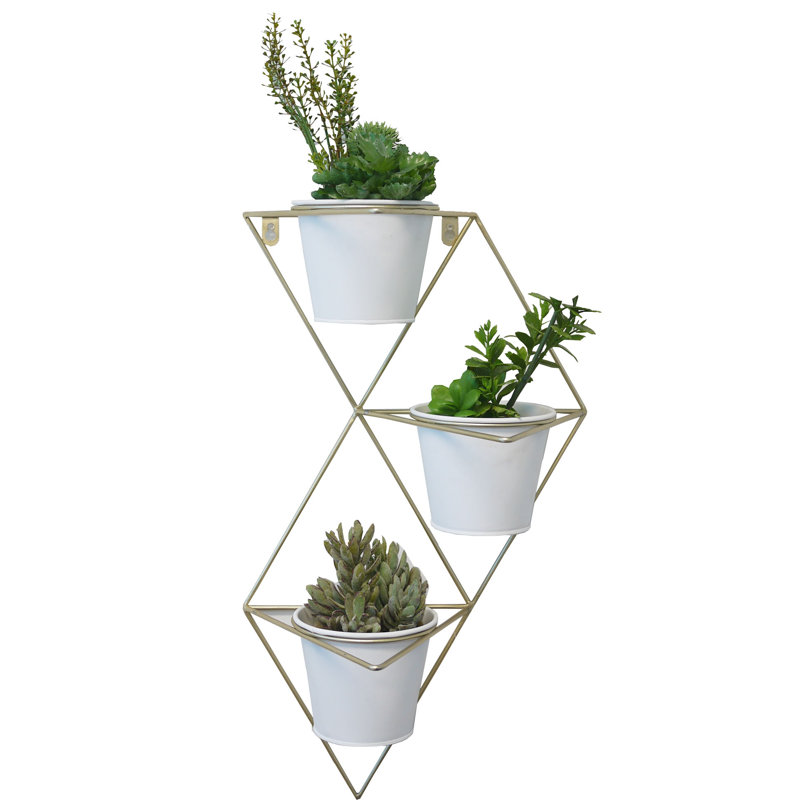 Wall Planter