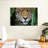 Brampt Amazon Jungle Jaguar-107720430