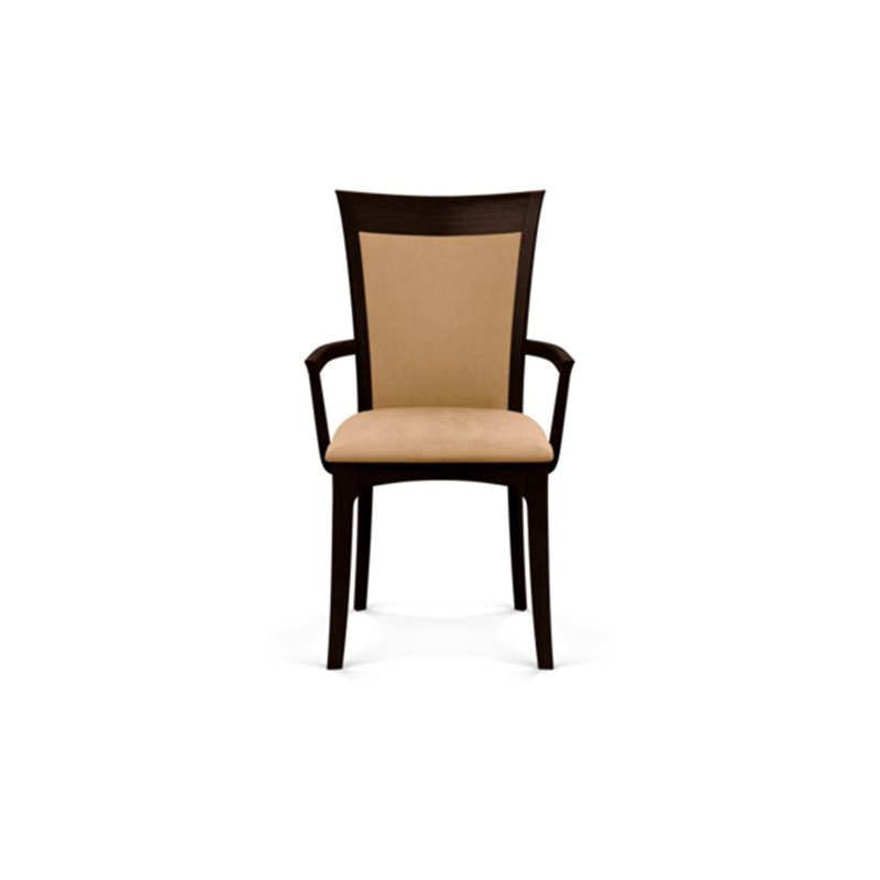 Morgan Upholstered Arm Chair, Smoke Cherry, Microseude Onyx