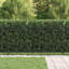Powder-Coated Steel Fence Panels Included-124587311