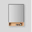 Bergen 24" Medicine Cabinet-211842277
