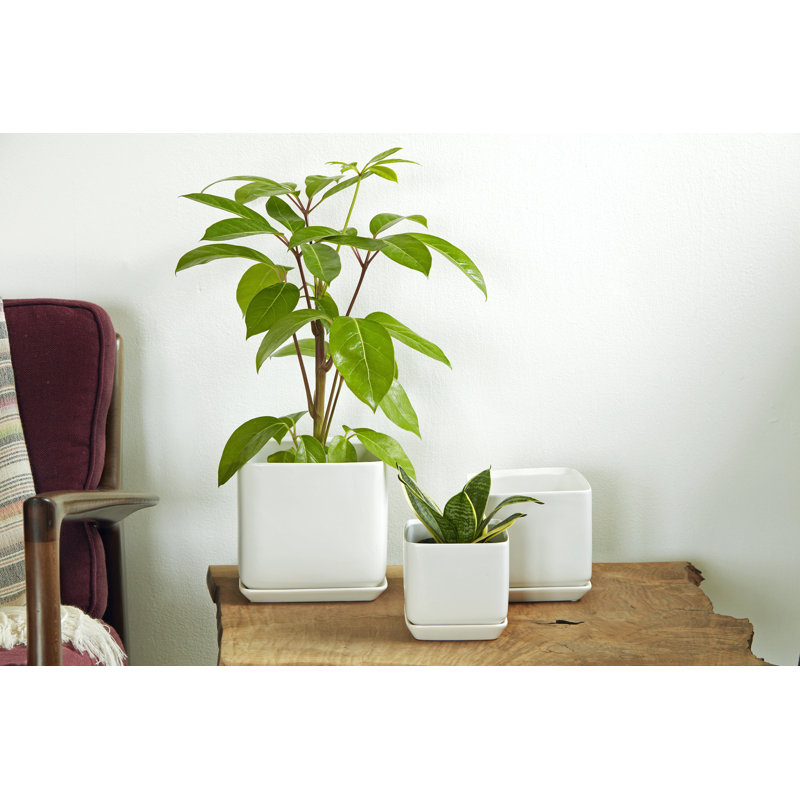 Pot à fleurs en céramique avec drain et soucoupe, Pot simple, Blanc mat