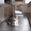 Hiddin Clear Freestanding Tall Zig Zag Pet Gate-1571870134