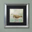 «Sand Piper II» par Jadaya, impression encadrée-20093008-20093010
