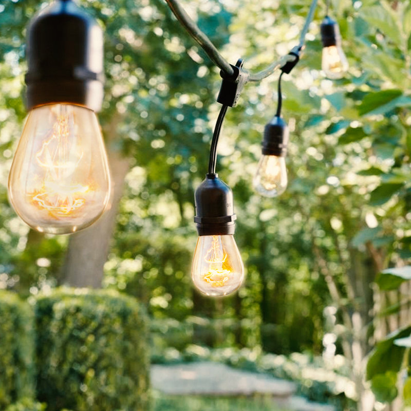 48' Outdoor LED 15 - Bulb Standard String Light, Black