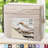 Striped Sheet Set-89598263-14955111