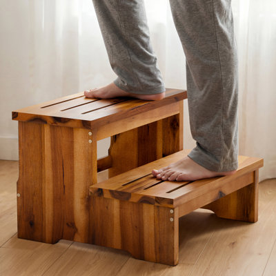 Tabouret à 2 marches 16,5 po pour adulte