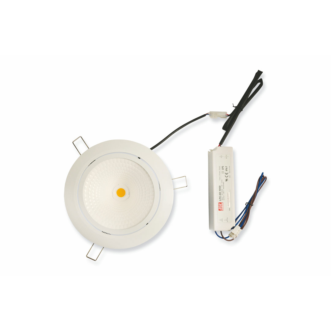 LED Outdoor Bulkhead Light