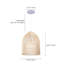Luminaire suspendu 1 lumière Daney