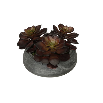 Plante echeveria artificielle dans un bol en céramique