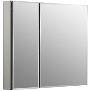 https://assets.wfcdn.com/im/70373841/resize-h310-w310%5Ecompr-r85/1683/16833771/clc-aluminum-two-door-medicine-cabinet-with-mirrored-doors-beveled-edges.jpg