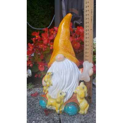 Gnome de jardin Federica avec chien et os illuminé