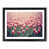 Black Framed selected