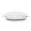 Gianna Cotton Pillow Sham-40207091-40207088