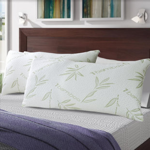 Ensemble de 2 taies d'oreiller en mousse viscoélastique en rayonne de bambou 20 po x 40 po