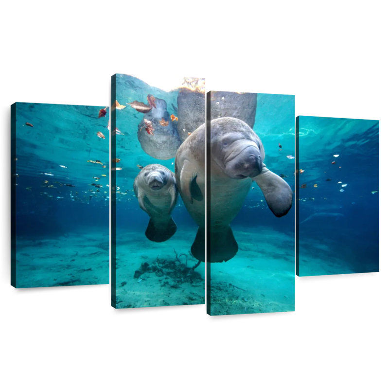 Brampt Manatee And Calf, 22" H x 36" W