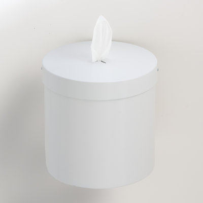 Wall Mounted Paper Towel Dispenser