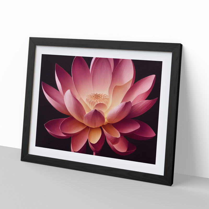 Great Lotus Flower - Single Picture Frame Print, Black Framed, 46cm H x 64cm W x 2cm D