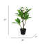 Plumeria artificiel 27 po en pot