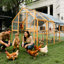 Outdoor Yellow Chicken Coop 110" Kitten Play Area, Walk - In Style With Full View Wire Mesh, Two Small Lift Doors, Waterproof Cover For All Weather Conditions Protection Activity Enclosure, Easy