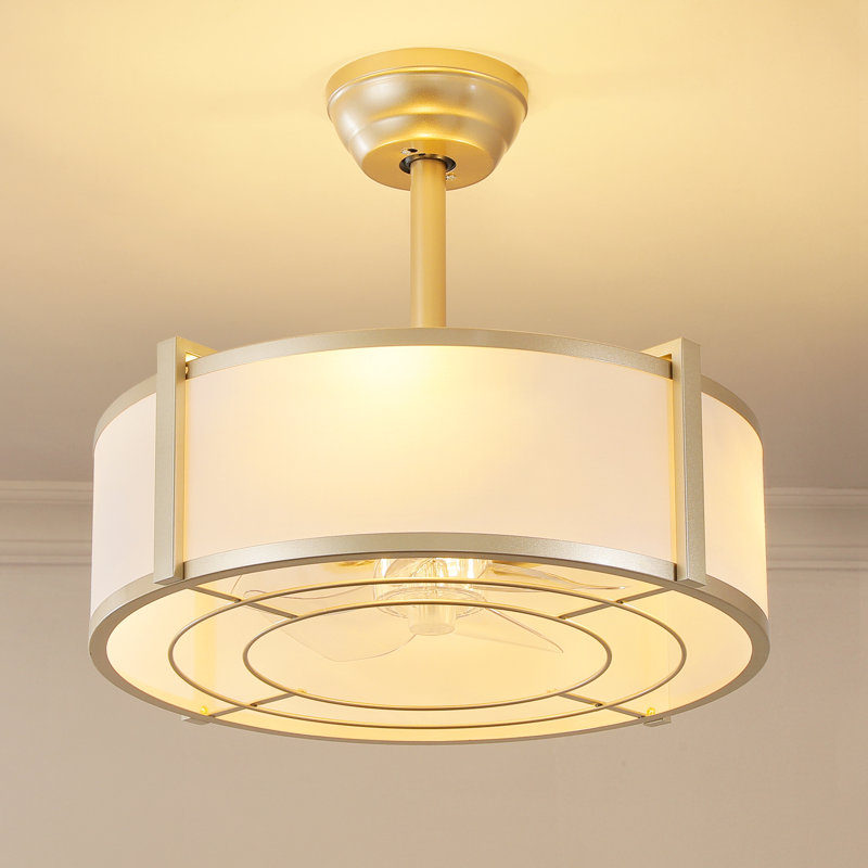 19'' Modern Ceiling Fan With Light, Gold