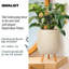 Concrete Effect Planter on Hardwood Legs, Round Indoor Plant Pot Stand for Indoor Plants, Indoor Flower Pot with Plaited Pattern-753632942-753632931