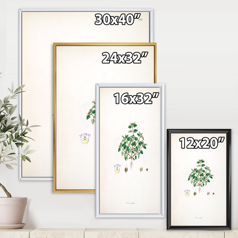 «Vintage Plant Life XIII», peinture sur toile, H 32 po x l 16 po x P 1 po, Cadre flottant doré