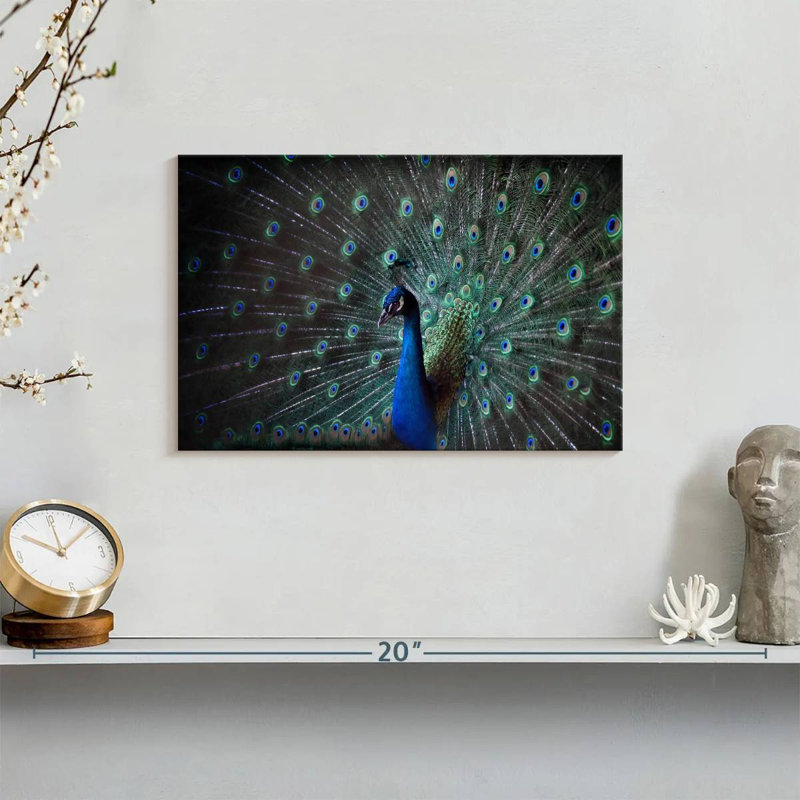 Noble Blue Peacock, 8" H x 12" W
