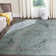 Zariyah Oriental Cotton Hand Woven Area Rug