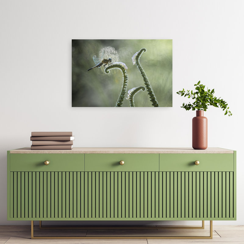 Libellule sur une courbe douce, délicate, paisible et sereine, impression d'art mural représentant une libellule, la nature et les plantes