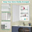 Recess or Surface Mount Bathroom Medicine Cabinet With Adjustable Shelves, No Assembly-2146422324